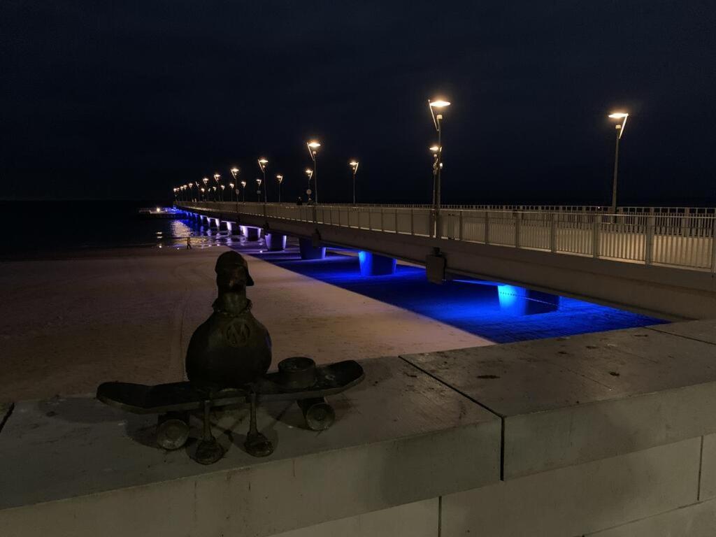 Apartament Vita Polanki コウォブジェク エクステリア 写真